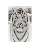 Siberian Tiger Wall Art Poster 23&quot; x 36&quot; - $25.80 CAD
