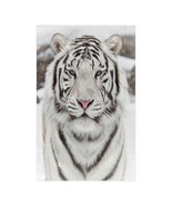 Siberian Tiger Wall Art Poster 23&quot; x 36&quot; - £14.85 GBP