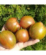 Tomato Kozula-132 Seed Pack - Exotic Heirloom Variety, Home Gardening, T... - £5.58 GBP