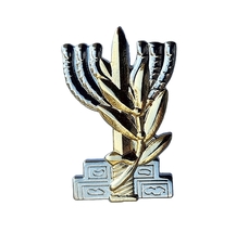 IDF outstanding president service award (gold coated) badge Israel army pin - £13.59 GBP