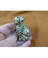 Y-DOG-LA-738 Spotted jasper LABRADOR Dog FIGURINE gemstone dogs DALMATIA... - $31.93 CAD