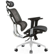 Ergonomic Chair Company Mesh Lumbar Support Mesh Ergonomic Office Chair for Work - £543.89 GBP