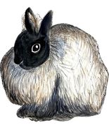 Jersey Wooly Bunny Rabbit Decal Sticker for Car/Truck Laptop or Phone - $6.95 - $23.95