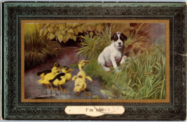 Puppy Plays With Baby Ducks BB London Postcard Posted 1911 - £7.71 GBP