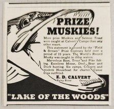 1936 Print Ad Prize Muskies Fishing Lake Woods Calvert Rainy River,Ontario,CAN - £6.33 GBP