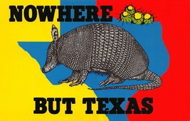 Vintage Postcard texas Cartoon Armadillo Nowhere But Texas AW-9 - £7.77 GBP