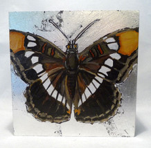 Butterfly Painting by Kelly Magee (#5985) - £59.95 GBP