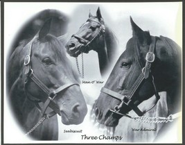 Man O&#39; War, Seabiscuit &amp; War Admiral - Three Champions - Head Shots - 10&quot; X 8&quot; - £15.93 GBP