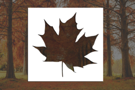 Solid Maple Leaf Reusable Stencil (Many Sizes) - $7.40+