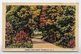 Greetings from Norwich New York Linen Postcard 1945 - $9.90