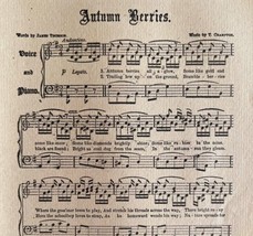 Autumn Berries Sheet Music 1892 Victorian Voice And Piano Ephemera DWY10A - $24.99