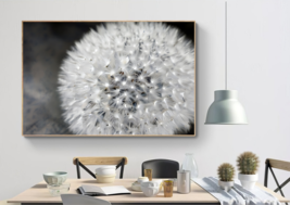 Printable Dandelion Photography Print | botanical wall art | instant dow... - £1.56 GBP