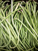 Yard Long Cowpea Bean Seeds 50+ Heirloom Non GMO Variety - £7.58 GBP