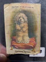 VINTAGE 1900s TOBACCO SILK MALTESE TERRIER FACTORY NO 25 - £18.36 GBP