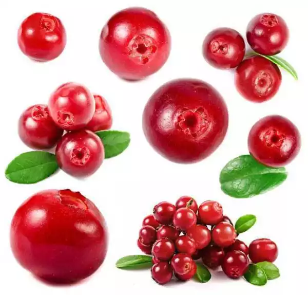 1 Pack 600 Red Gooseberry Seeds Physalis Ixocarpa Cape Heirloom Organic Fresh Se - £4.71 GBP