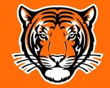Princeton Tigers Sports Team Flag 3x5ft - £12.63 GBP