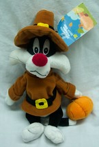 Wb Store Looney Tunes Thanksgiving Sylvester Pilgrim 10&quot; Stuffed Animal New - £14.73 GBP