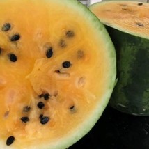 US Seller Tendersweet Orange Watermelon Seeds Fast Shipping - $10.49