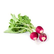 100+ pk White Tip Radish Seed, Home garden, Sprouting Seeds - $7.49