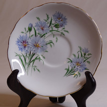  Bone China Royal Vale Made In England Ridgeway Potteries Inc. 1 Saucer Only - £2.45 GBP