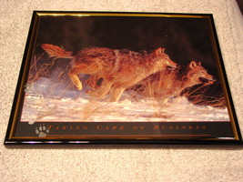 WOLVES WOLF 8X10 FRAMED PICTURE PRINT #4 - £10.25 GBP