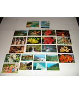 Hawaii in Color: Postcards and Views - 35 Combined Total - Vintage - £78.09 GBP