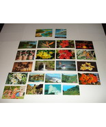 Hawaii in Color: Postcards and Views - 35 Combined Total - Vintage - $137.18 CAD