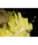 NOVACEKITE - Excellent Crystals - Cuervo Mine, Chihuahua, MEXICO - €214,77 EUR