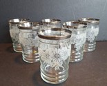 6pc Floral Etched &amp; Ribbed w/Silver Bands Glasses Holds 8 Ounces Vintage... - $29.69