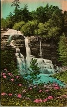 Peterskill Falls Lake Minnewaska New York NY Hand Colored Albertype Postcard A5 - £9.92 GBP