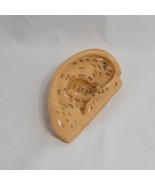 Professional Human Ear Acupuncture Points Model Anatomical Figure  - $449.51 MXN
