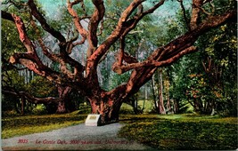 Vtg Postcard 1910s University of California Berkeley La Conte Oak Ed Mitfchell  - £5.37 GBP