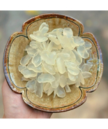 Dried Palmyra (Thot Not) Sugar-free, Without Preservatives, Vietnamese B... - €21,45 EUR+