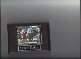 American Pharoah Plaque Horse Racing Turf Belmont Triple Crown Winner - £3.09 GBP