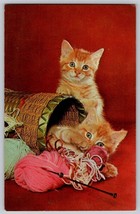 Vintage 2 Ginger Tabby cats kitties playing w/ yarn red background postcard - £5.47 GBP