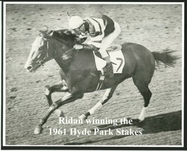 1961 - RIDAN winning the Hyde Park Stakes - 10&quot; x 8&quot; - £15.81 GBP