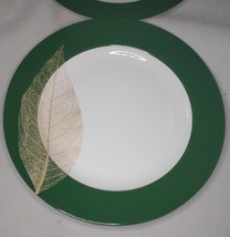 Accent 8&quot; Sandwich Salad Plates White Green Rim and Gold Leaf Set of 4 - $24.18