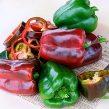 Sweet Pepper Ozark Giant, 25 Seeds R - £11.32 GBP