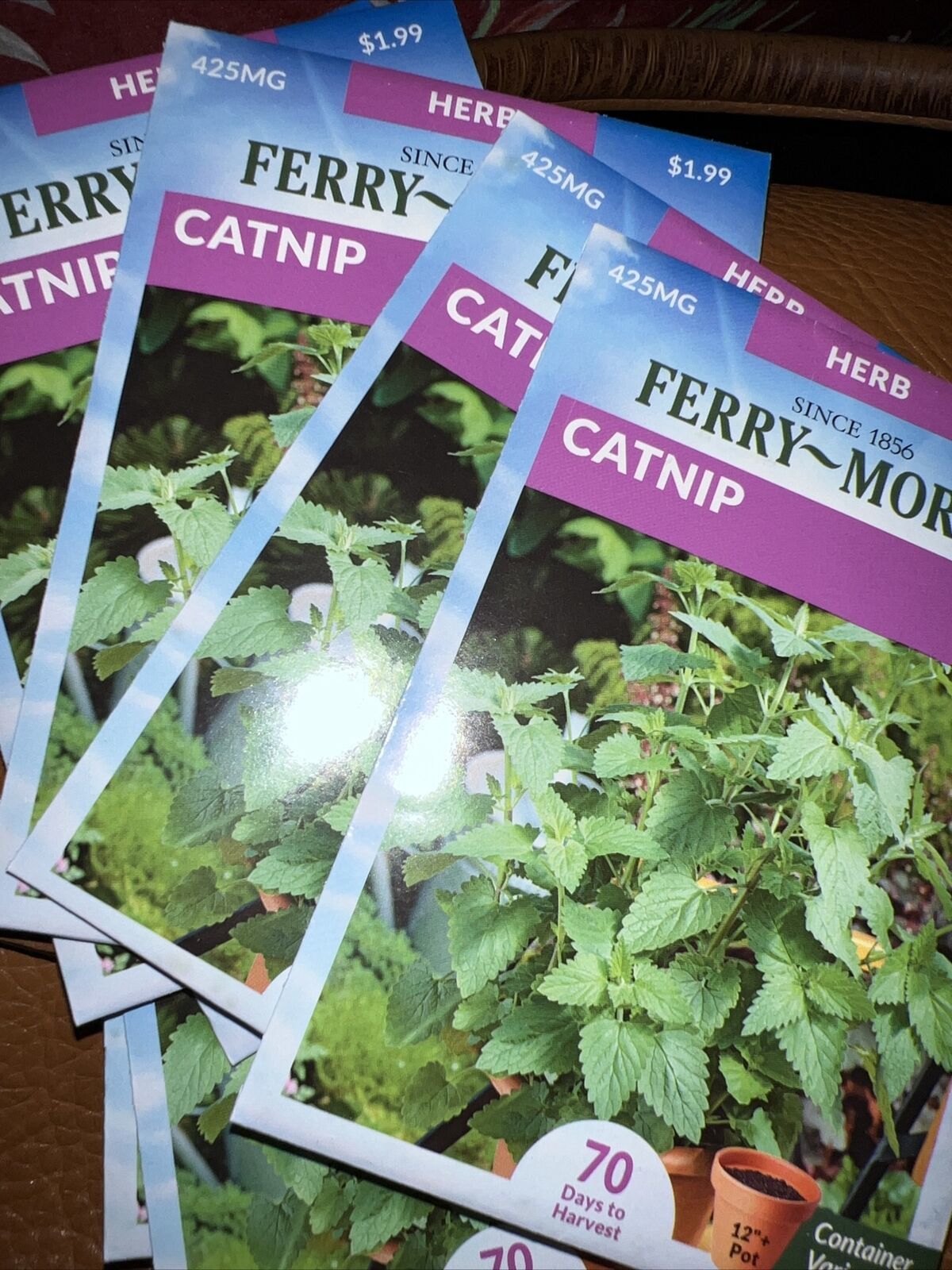 Primary image for 8 Packs Catnip Herb Seeds NON-GMO - Ferry Morse  12/23