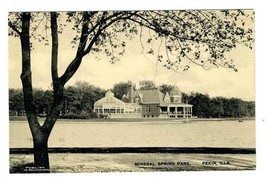 Mineral Spring Park  Pekin Illinois W Blenkiron Albertype Postcard 1910 - £11.66 GBP