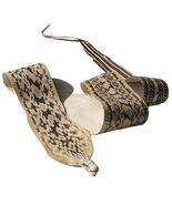 Natural Head-on Authentic Asia Rat SNAKE SKIN Snakeskin Taxidermy Glossy  - $20.00