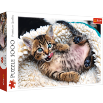 1000 Piece Jigsaw Puzzles, Cheerful Kitten, Puzzle of Animals, Cats, Kittens and - £15.17 GBP