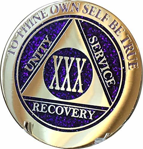 30 Year Elegant Glitter Purple Gold Silver Bi-Plated AA Medallion Chip XXX