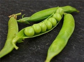 Pea Lincoln Garden, 75 Seeds R - £12.22 GBP