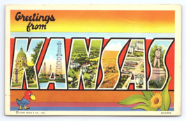 Postcard Greetings From Kansas Large Letter KS Curt Teich - £3.55 GBP