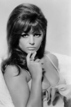 Claudia Cardinale Sexy Very Busty Portrait Don&#39;T Make Waves 1967 Large Poster - £23.30 GBP