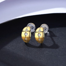 S925 Tremella Ring Micro-Inlaid Zircon Earrings Simple Cold Style Female - £14.53 GBP