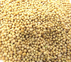 Mustard Seed Yellow Whole 1/4 oz Culinary Herb Spice Flavoring Cooking U... - $0.98