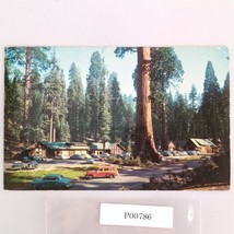 Giant Forest Village Sequoia National Park California 1950s Postcard CA PC - $6.88