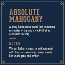 18.21 Man Made  ABSOLUTE MAHOGANY 3-in-1 shampoo, conditioner, & body wash,18oz  image 3